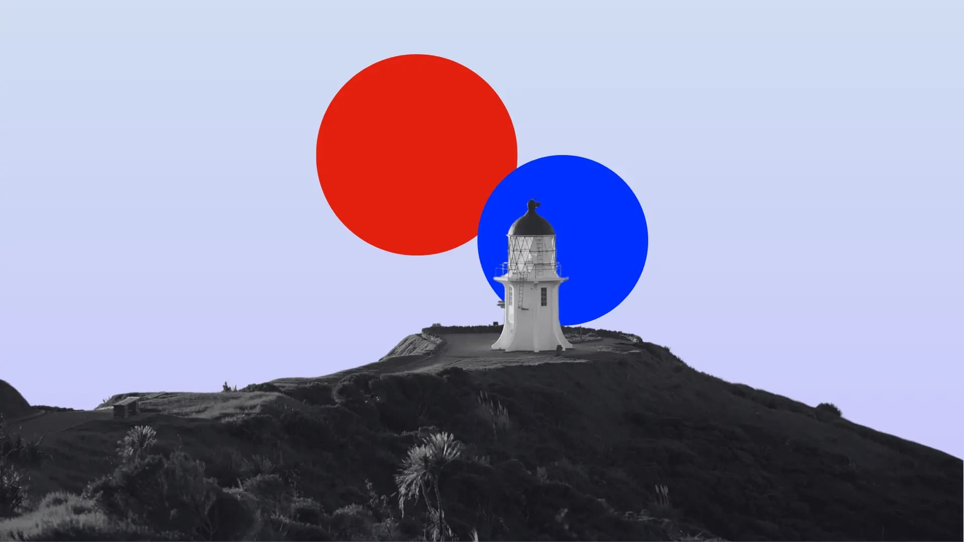 Study in New Zealand