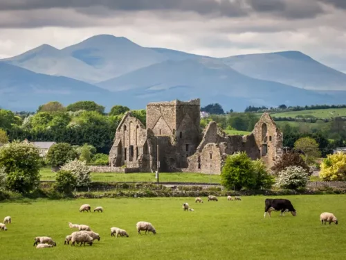 study in Ireland for indian students